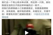 有哪些娱乐吃瓜的大号,盘点热门吃瓜大号，带你畅游娱乐八卦世界